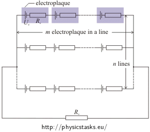 en electric circuit demonstrating the electric eel